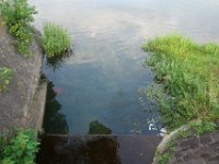 DSC09466
