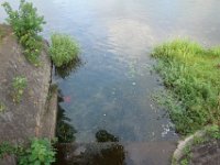 DSC09505