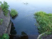 DSC09529
