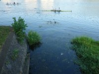DSC09571
