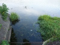 DSC09684