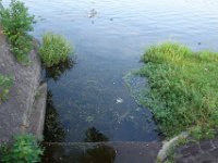 DSC09702