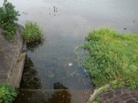 DSC09715