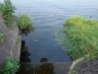 DSC09799