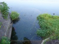 DSC09889