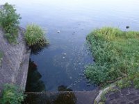 DSC09931