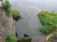 DSC09936
