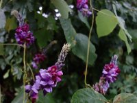 DSC09956