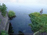 DSC09965