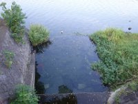 DSC09985