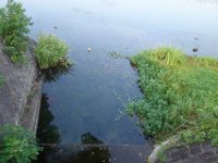 DSC00038