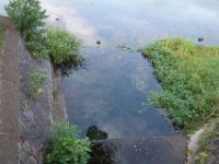 DSC00050