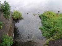DSC00065