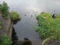 DSC00154