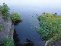 DSC00191