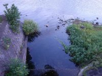 DSC00207