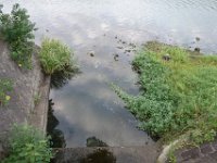DSC00229