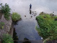 DSC00253