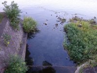 DSC00258