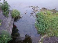 DSC00277