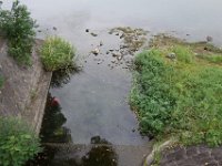 DSC00293