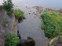 DSC00298