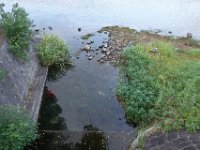 DSC00317
