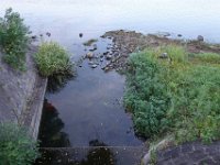 DSC00332