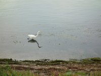 DSC00351