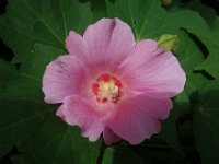 DSC00371
