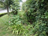 DSC00373