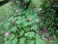 DSC00374