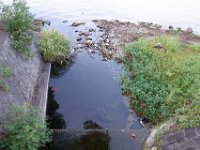 DSC00489