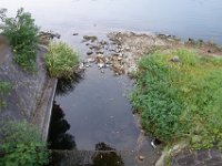 DSC00508