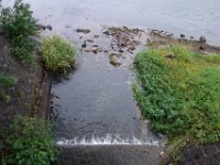 DSC00520