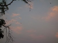 DSC00555