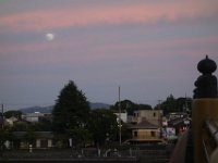 DSC00557