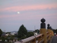 DSC00558