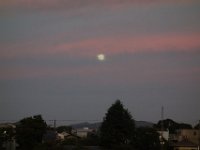 DSC00562