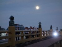DSC00566