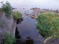 DSC00584