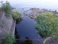 DSC00607