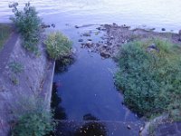 DSC00619
