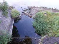 DSC00638