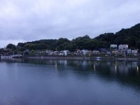 DSC00654