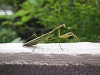 DSC00725