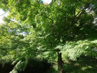 DSC00916