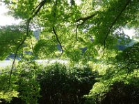 DSC00917