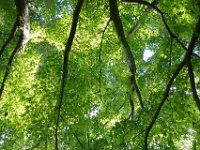 DSC00918