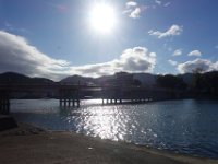 DSC00919